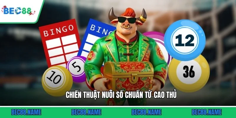 Bạch Thủ Lô 2 Nháy - Bí Quyết Săn Số Chuẩn 2026 3 Chiến thuật nuôi số chuẩn từ cao thủ