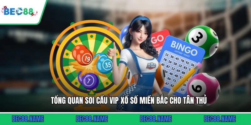 Tổng quan soi cầu Vip xổ số miền Bắc cho tân thủ